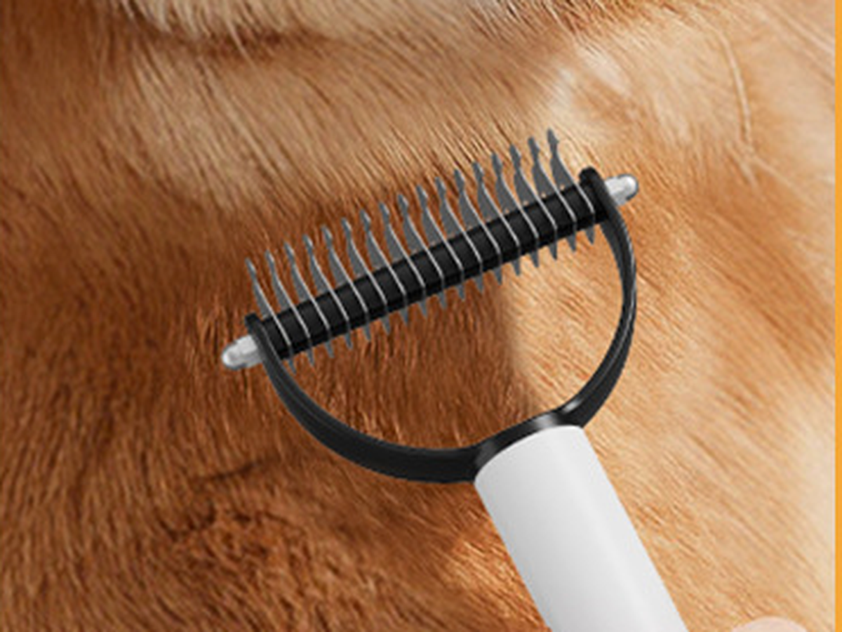 Undercoat rake pulling loose fluff from a thick coat